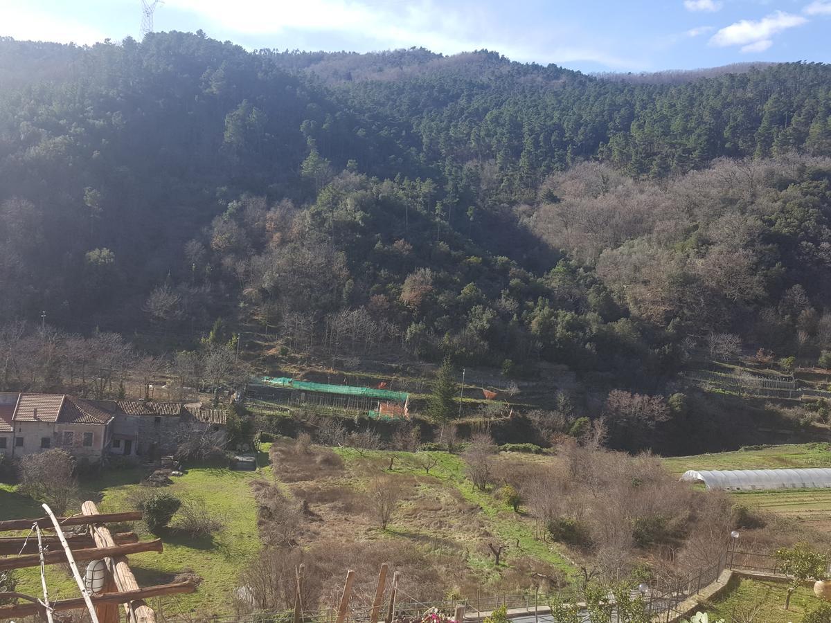 Villa Agriturismo Aspettando Il Sole Orco Feglino Exterior foto