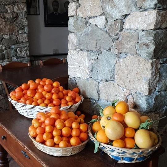 Villa Agriturismo Aspettando Il Sole Orco Feglino Exterior foto