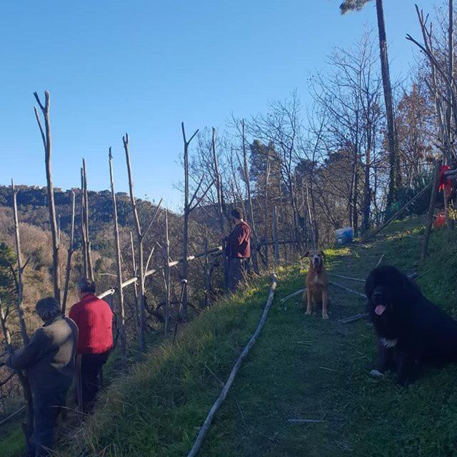 Villa Agriturismo Aspettando Il Sole Orco Feglino Exterior foto